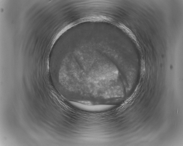 X0000085731226200704131611