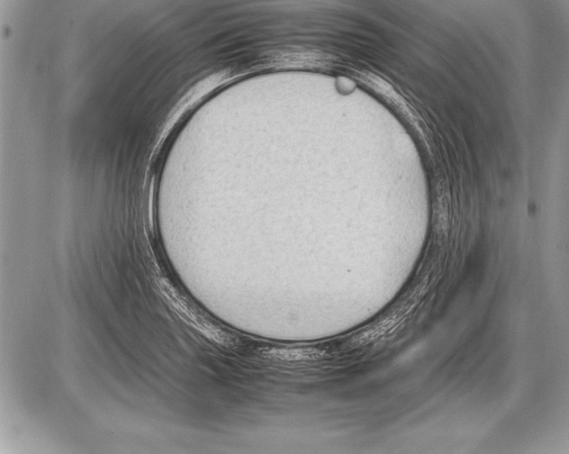 X0000085731227200704131611