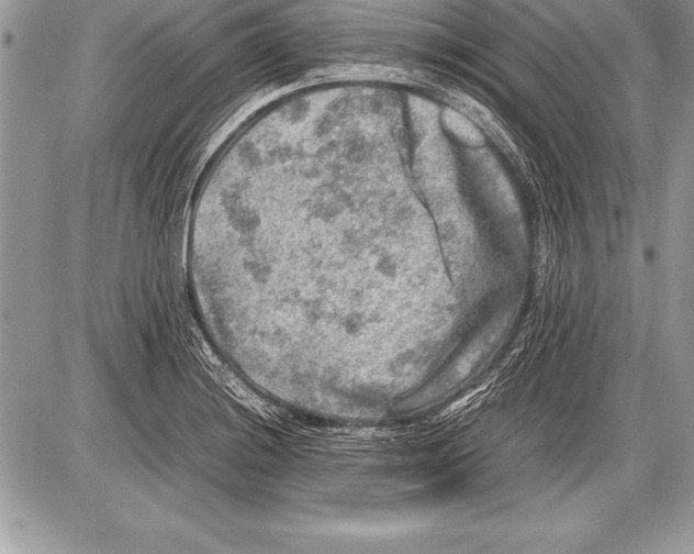 X0000085731228200704131611