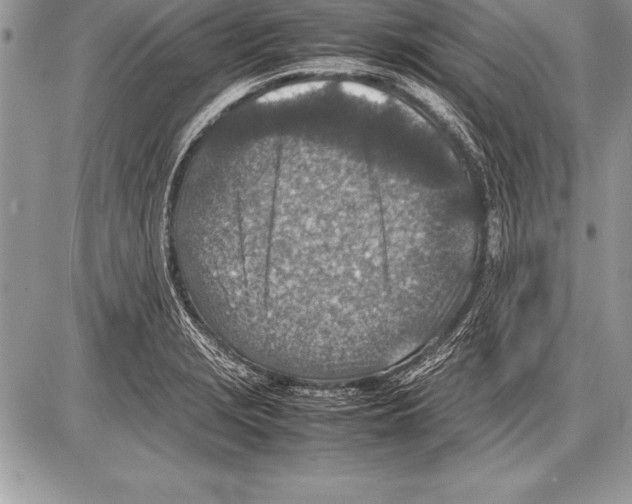 X0000085731229200704131611