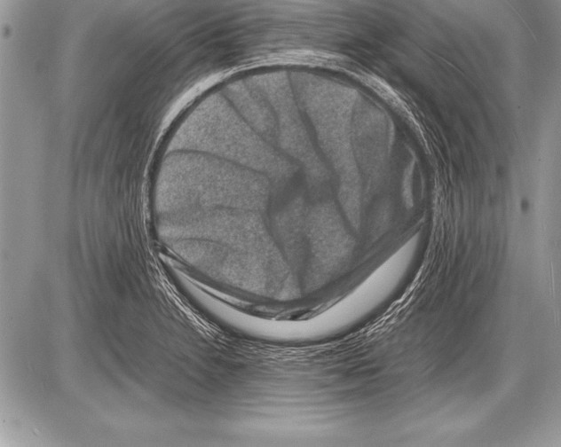 X0000085731230200704131611