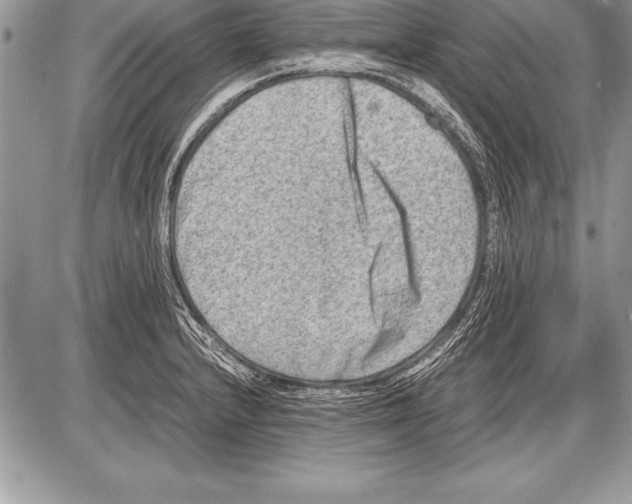 X0000085731232200704131611