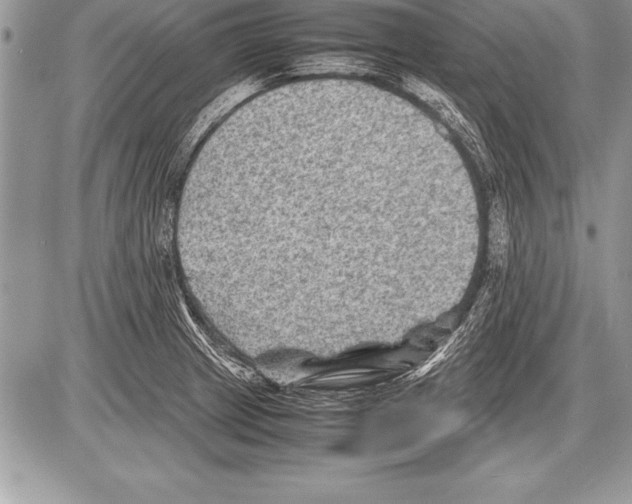 X0000085731233200704131611