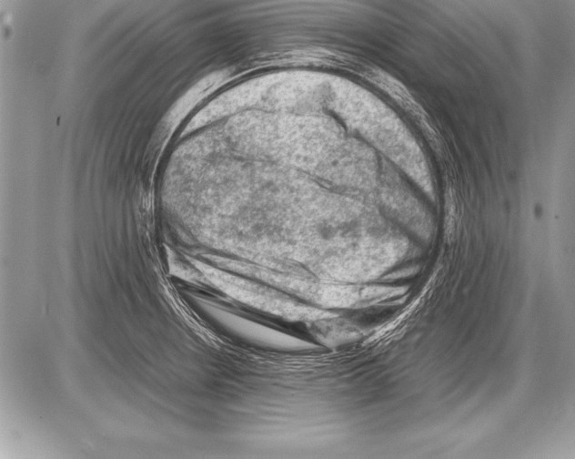 X0000085731234200704131611