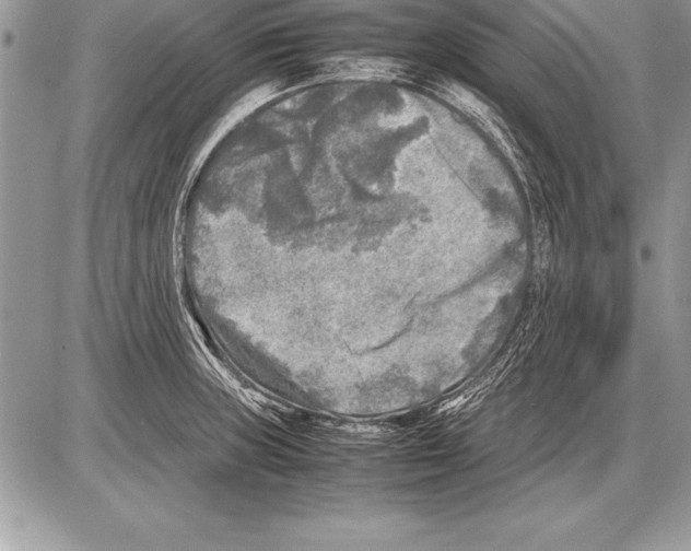 X0000085731235200704131611