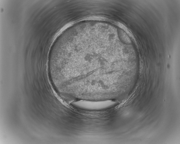 X0000085731237200704131611