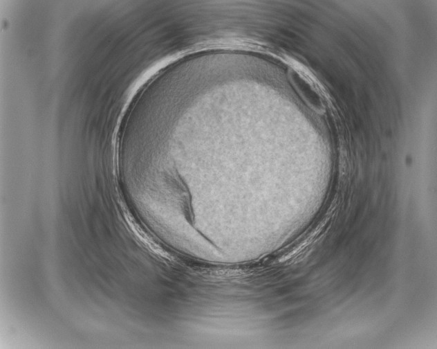 X0000085731238200704131611