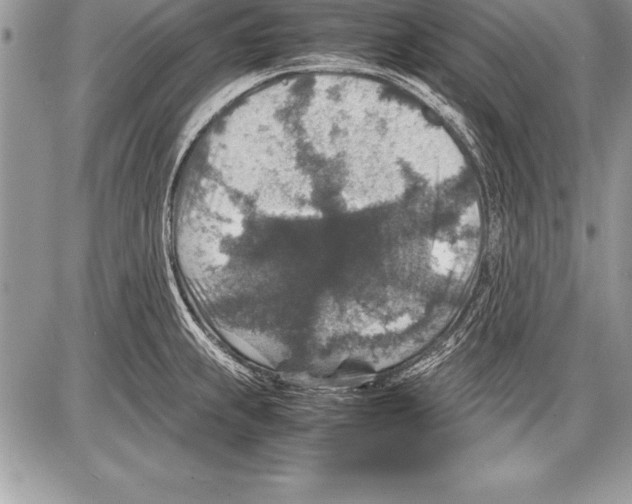 X0000085731239200704131611