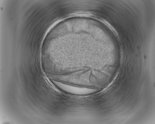 X0000085731240200704131611