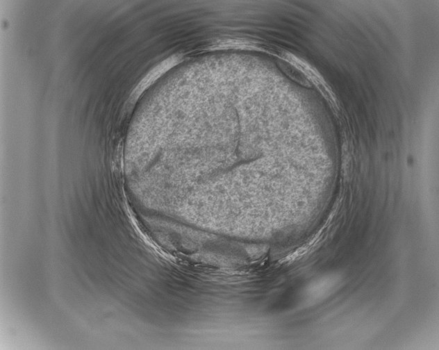 X0000085731241200704131611