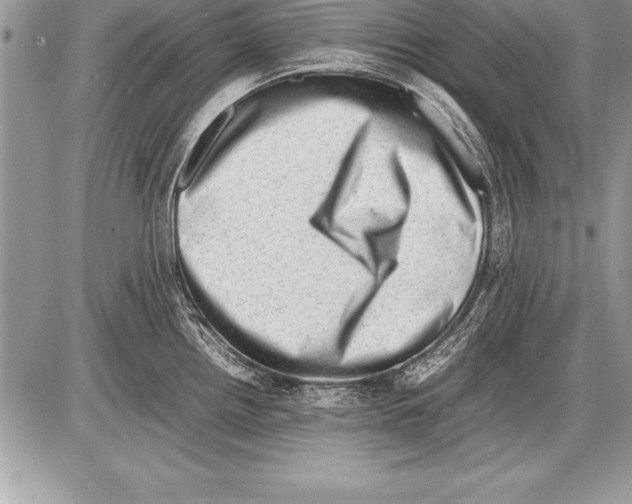 X0000085731242200704131611