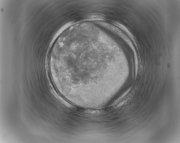 X0000085731243200704131611