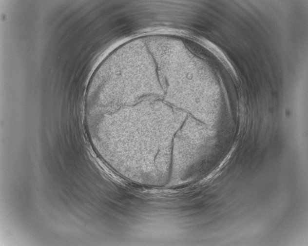 X0000085731244200704131611