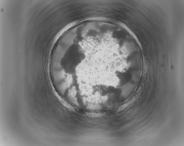 X0000085731245200704131611