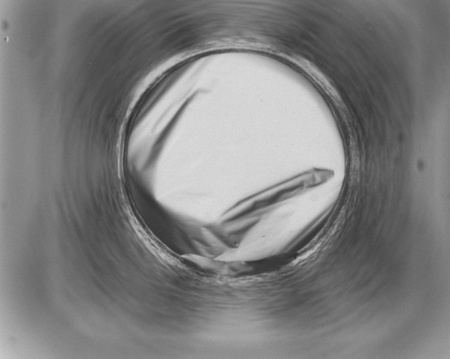 X0000085731246200704131611