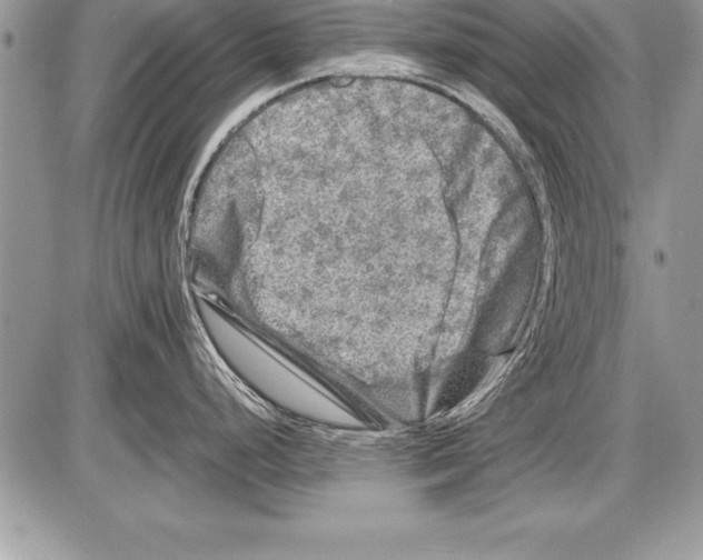 X0000085731248200704131611