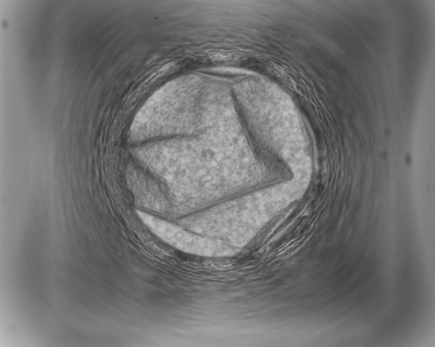 X0000085731249200704131610