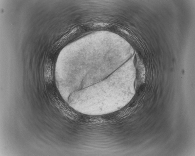 X0000085731250200704131610