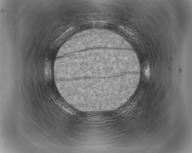 X0000085731252200704131610