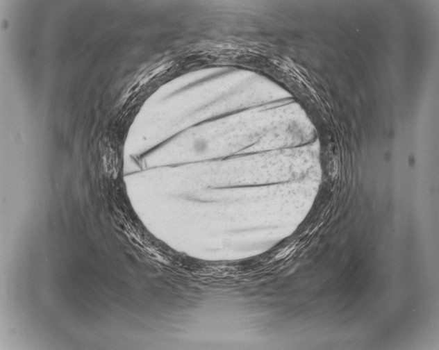 X0000085731253200704131610