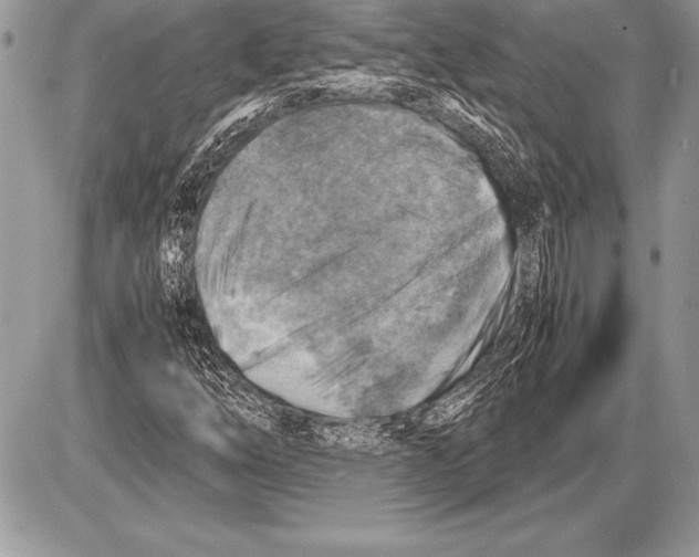 X0000085731254200704131610