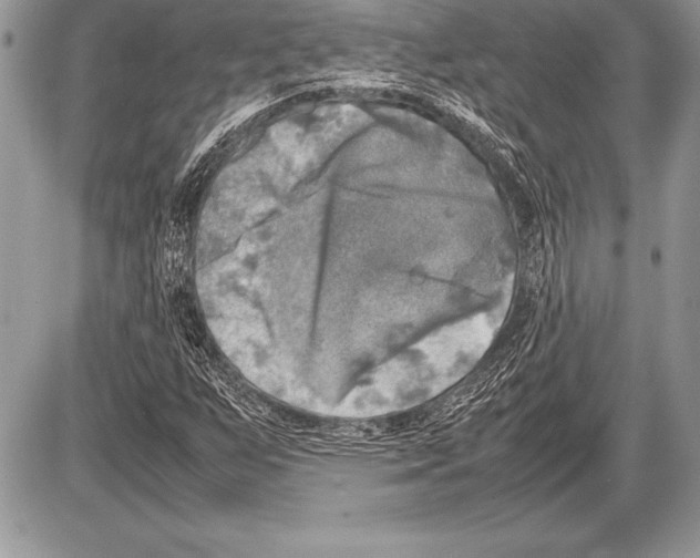 X0000085731255200704131610