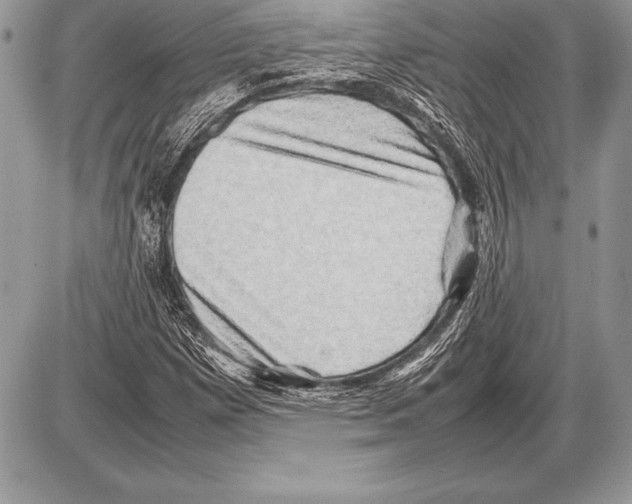 X0000085731257200704131610