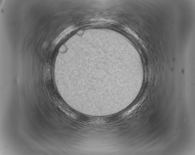 X0000085731259200704131610