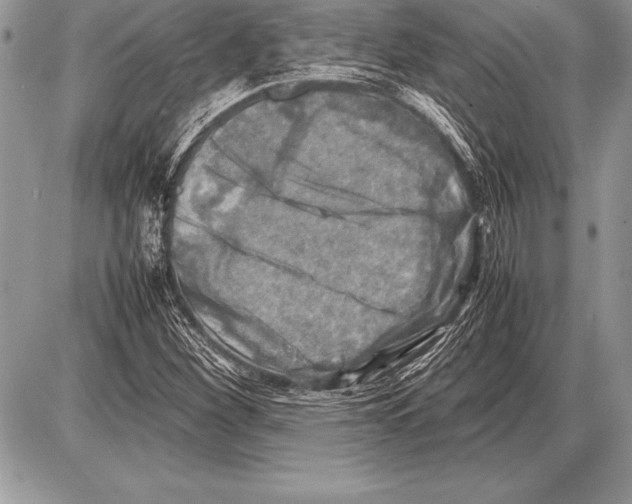 X0000085731260200704131610