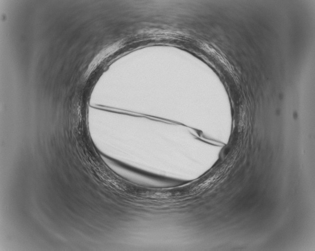 X0000085731261200704131610