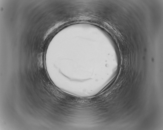 X0000085731262200704131610