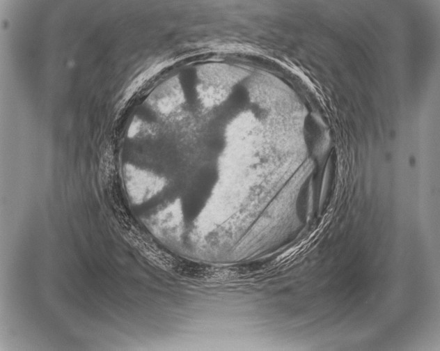 X0000085731263200704131610