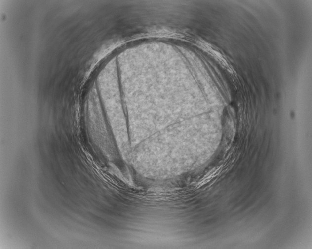 X0000085731264200704131610