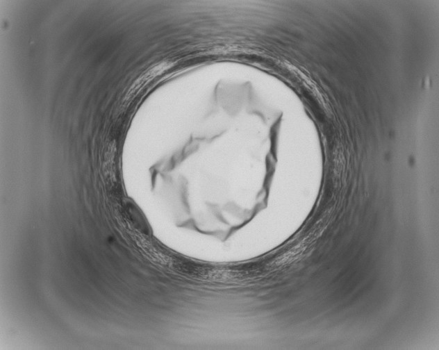 X0000085731265200704131610