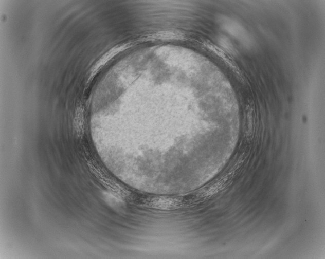 X0000085731266200704131610