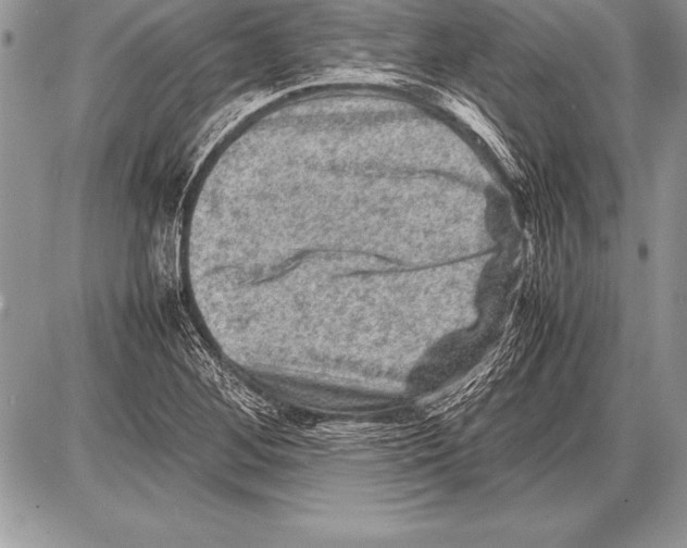 X0000085731268200704131610