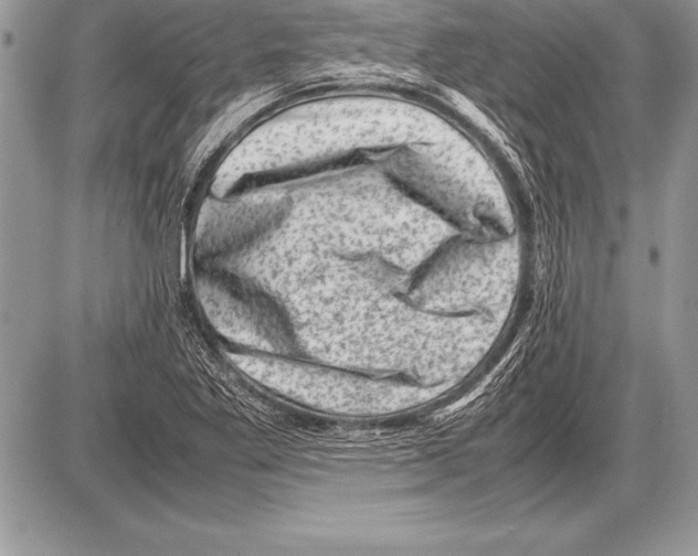 X0000085731269200704131610