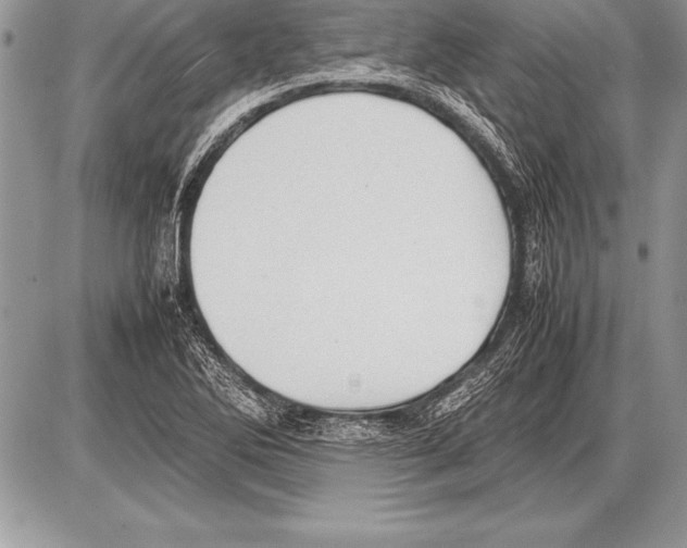 X0000085731270200704131610