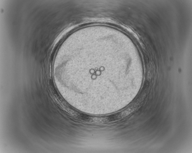 X0000085731271200704131610