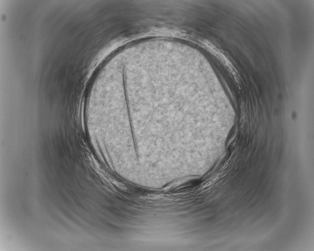 X0000085731272200704131610