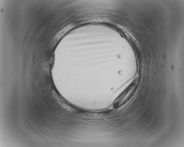 X0000085731273200704131610