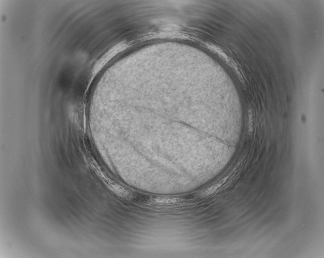 X0000085731274200704131610