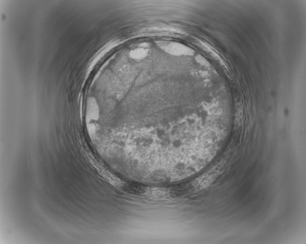 X0000085731275200704131610