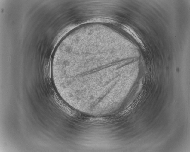 X0000085731276200704131610