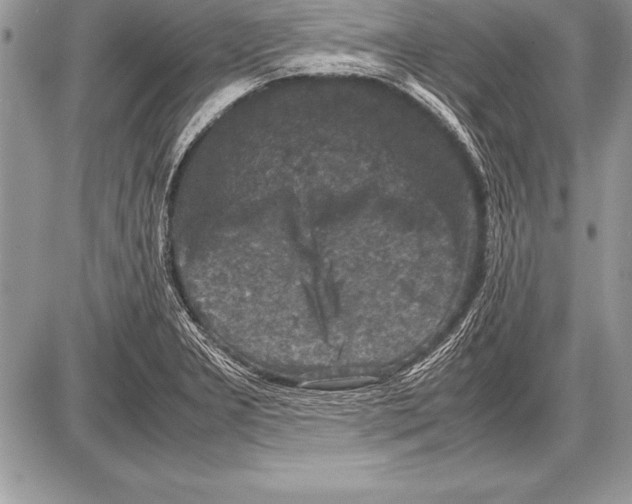 X0000085731277200704131610