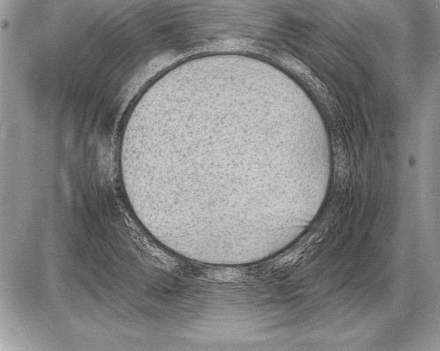 X0000085731278200704131610