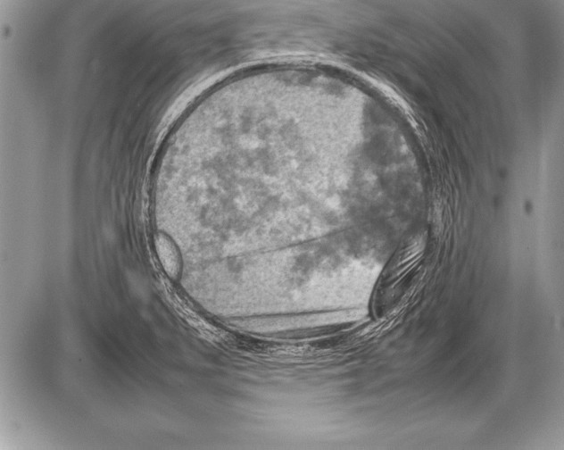 X0000085731279200704131610