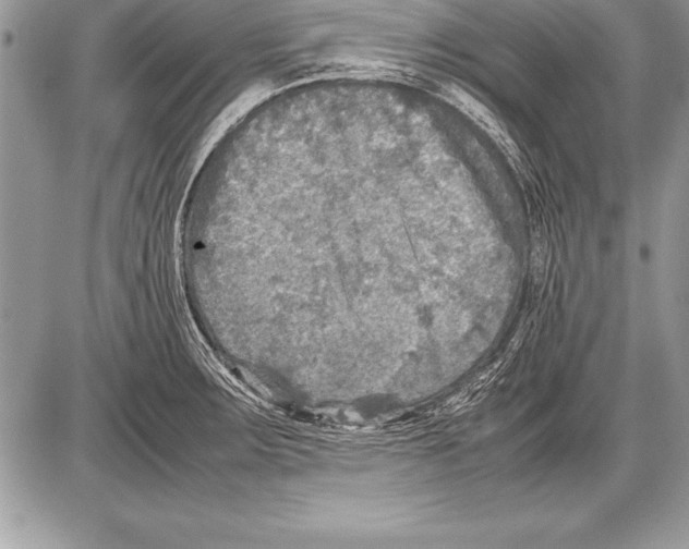 X0000085731283200704131610