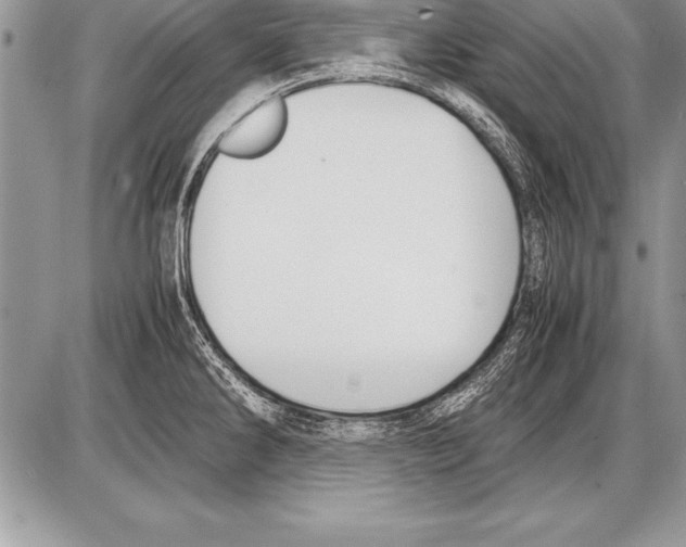 X0000085731286200704131610