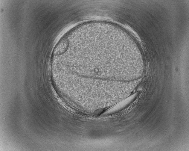 X0000085731287200704131610